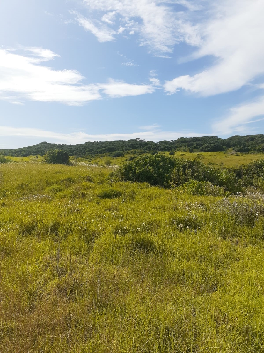 0 Bedroom Property for Sale in Seaview Eastern Cape